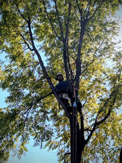 Offering lightning FAST and conveniently FREE quotes throughout the Niagara Region, ask for Tyler @...