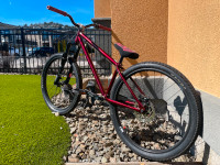 Hardtail Dirt Jumper Bike - NS Metropolis 1