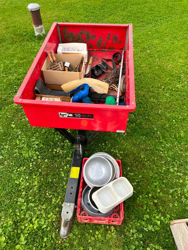 LIVE Stock | Livestock | Fredericton | Free local classifieds - Kijiji