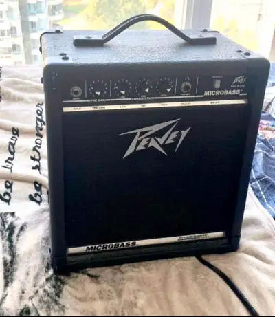50 Watt Peavey Microbass. Great volume range and solid tone. Incredible amp for beginners or a pract...
