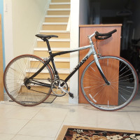 Giant OCR ⎮ Single Speed Bike