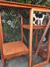 solid hand built catio