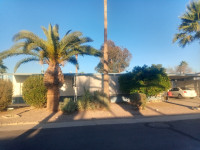 Mobile home for sale in Mesa