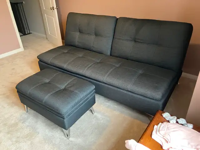 Sealy Sofa Convertible/Futon