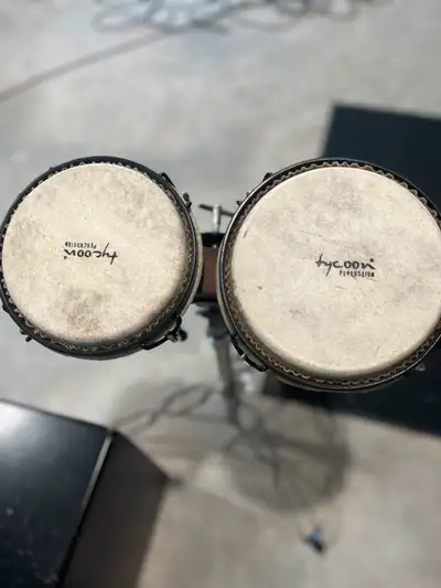 Percussion Instruments , View more
