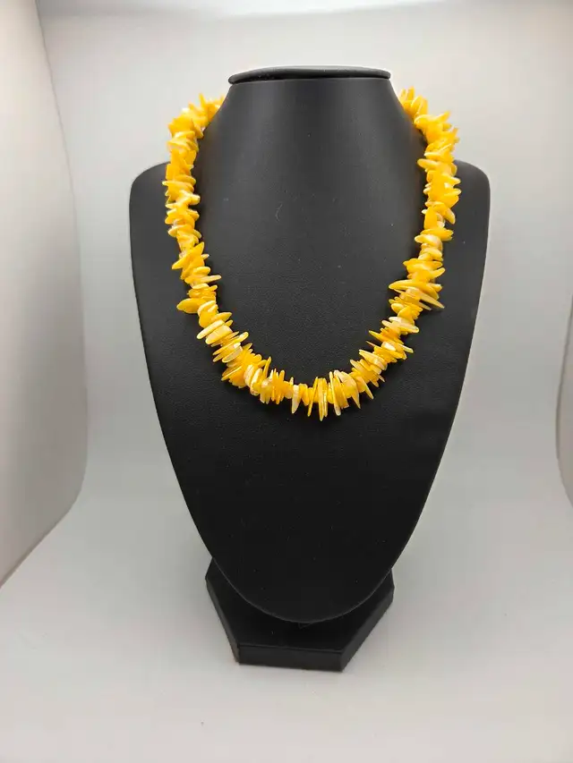 Shell Necklace63008305989123120