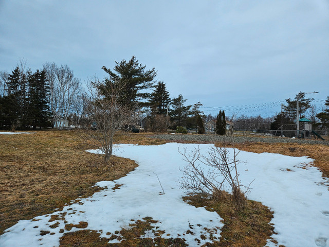 Land for sale in Land for Sale in Cape Breton - Image 4