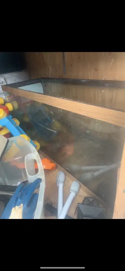 Large 75 Gallon Aquarium/Terrarium with Light, View more