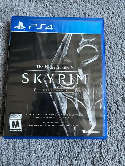Skyrim Special Edition, View more