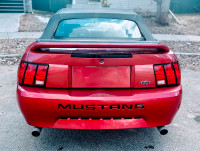 Convertible Mustang