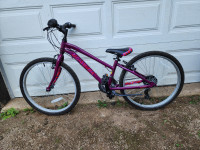 24'' Wheel Bike Garneau Purple Bicycle