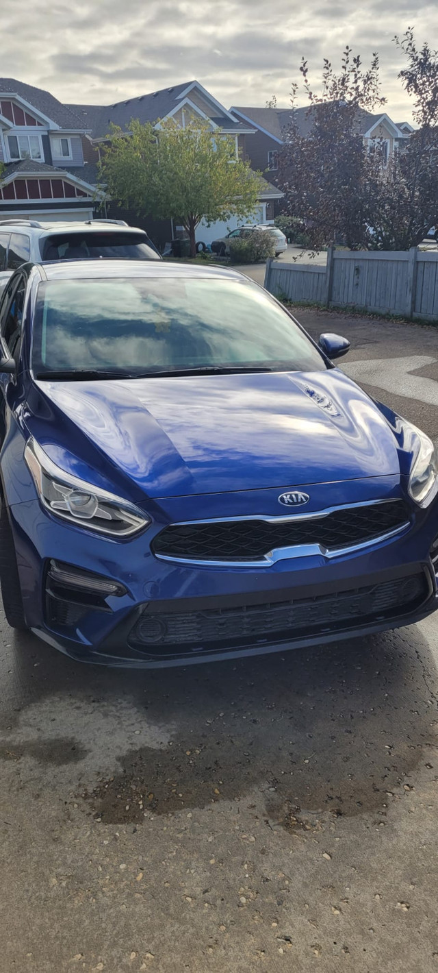 2019 Kia Forte - Low Mileage in Cars & Trucks in Edmonton - Image 3