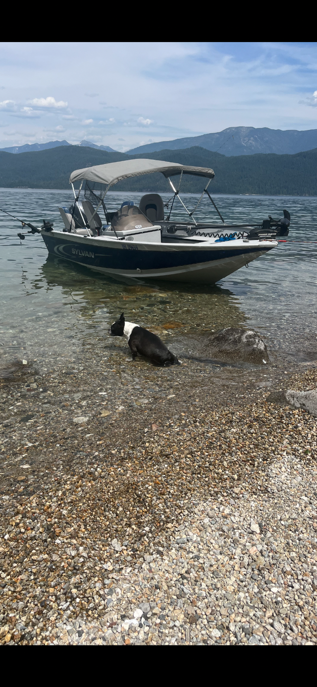 16ft aluminum fishing boat in Powerboats & Motorboats in Cranbrook - Image 8