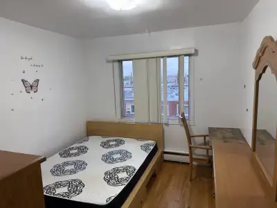 Chambre tout inclus dans un grand 4 1/2 – 695$ - Montréal ️ Dispo immédiatement PIE IX / rue Prairie...