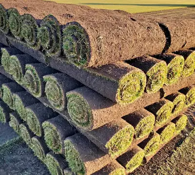 Free Sod, first come first serve Call/text for availability: 587-226-4201