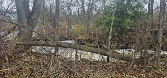 Waterfront lot Residential zone acres of land in Land for Sale in Ottawa - Image 3