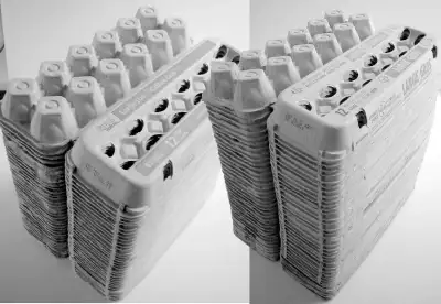 LOT DE 70 BOÎTES À OEUFS USAGÉES, PROPRES, EXPÉDIEZ AU QUÉBEC, View more