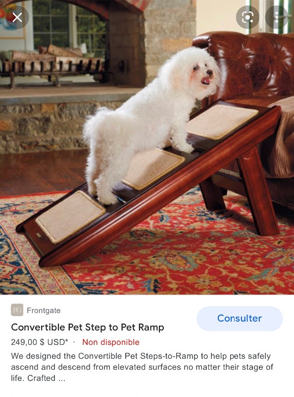 Rampe et escaliers pour chien pliante et portative / Dog ramp