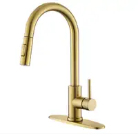 Brand New Gold Kitchen Faucet For Sale
