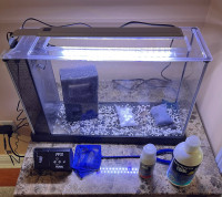 Fluval Aquarium Kit, 5-Gallon - used