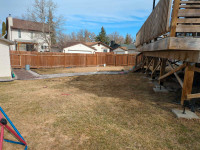 Power rake & aerate my yard