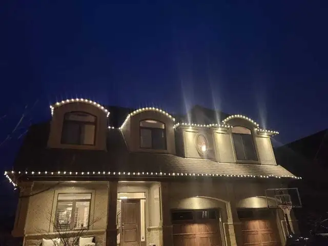 Christmas lights and Gutter cleaning  services602770048885739525