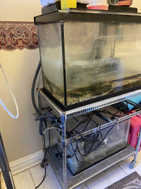 Aquarium - double on rack 25 and 15 Gallons