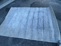 Used Carpet/ Tapis usagé 1.6x2.3m (5’3”x 7’7”)