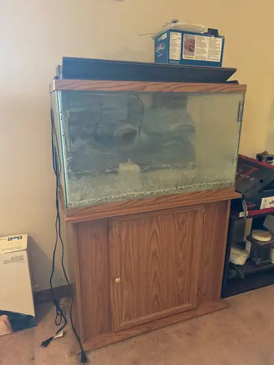 29 Gallon Aquarium/Terrarium with Matching Stand, View more