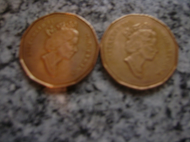 TWO OLDER CANADIAN LOONIES  1990 & 1995 in Arts & Collectibles in Windsor Region