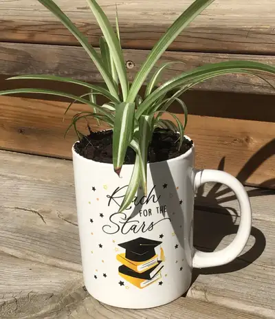 GRADUATION ‍ MUG, View more