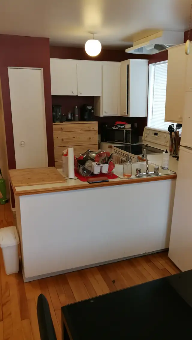 Photo 5