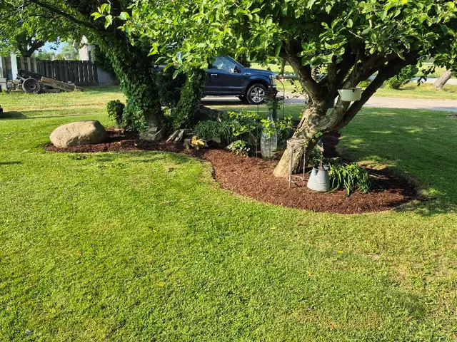 spring yard clean ups426574696552212483