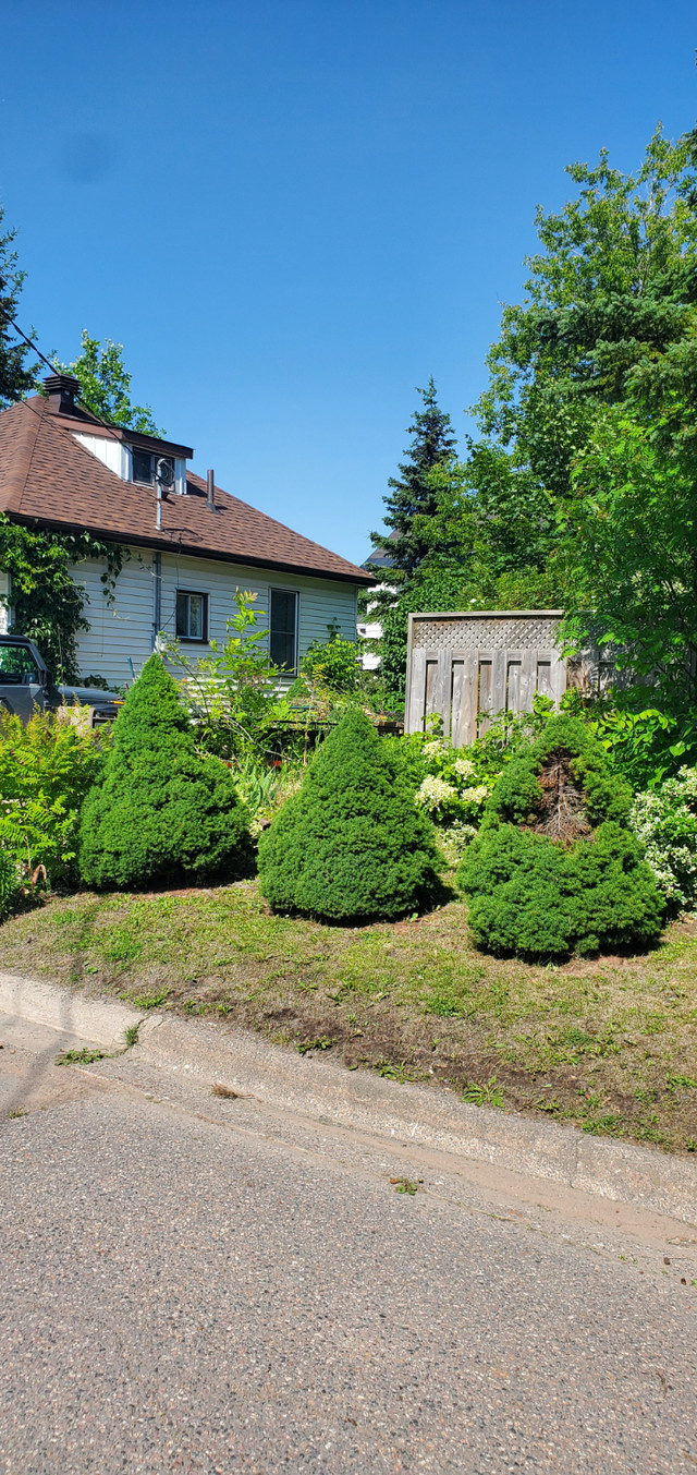 Affordable House For Sale in Houses for Sale in Sault Ste. Marie