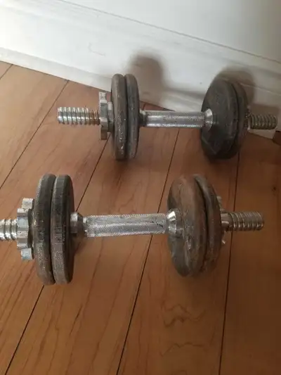 The York Dumbbell Set :  8 plated ( 2.5 kg ea.) + bars + collars, View more