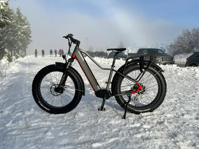 IGO Electric 3.1 Fat Tire EBike with Hydraulic Brakes *NEW* in eBike in Mississauga / Peel Region - Image 2