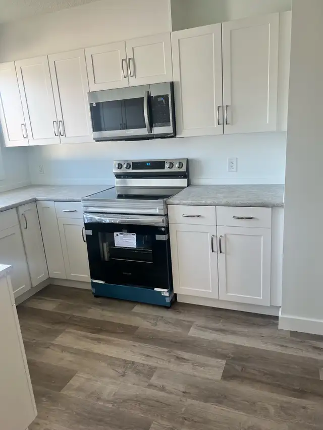 Moe The Home Pro510815665653043201