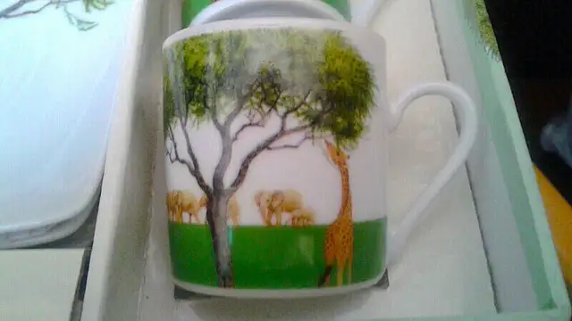 Stokes Demi Tasse/Tea Set (New)62863729039489122