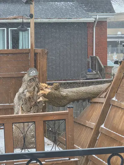 Wood for free, View more