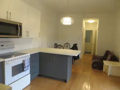 APARTMENT FOR RENT/ A LOUER - MEUBLE/FURNISH - PRIME SPOT -