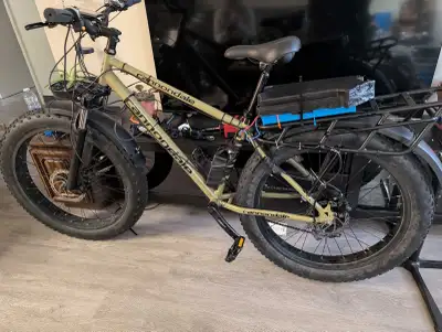 fat Tire electric bike , View more