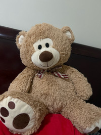 Teddy bear- perfect condition 