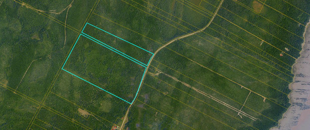 100 Acre Vacant Land in Land for Sale in Moncton - Image 4