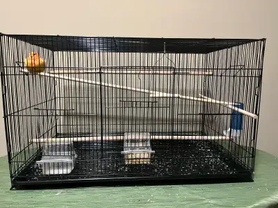 canary with cage, View more