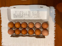 Farm Fresh Brown Eggs, Pastured Free Range
