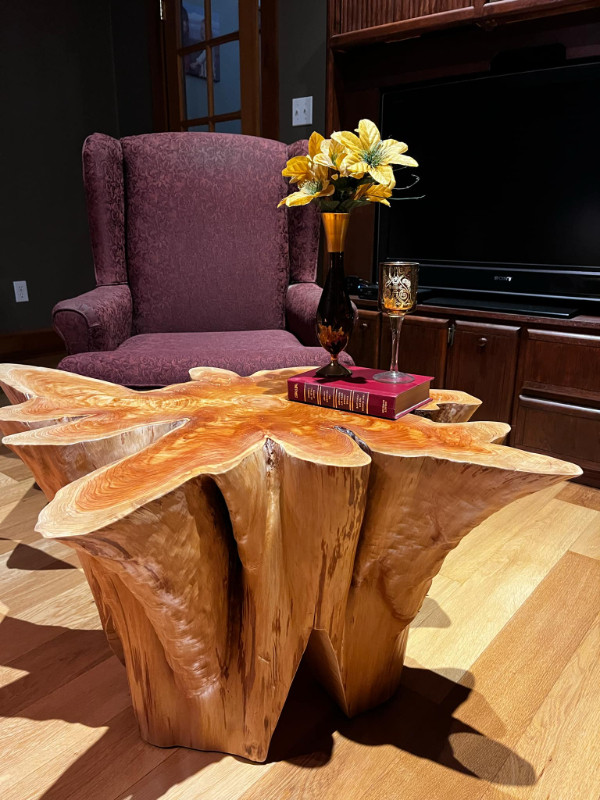 Handcrafted root / live edge table in Coffee Tables in Parksville / Qualicum Beach