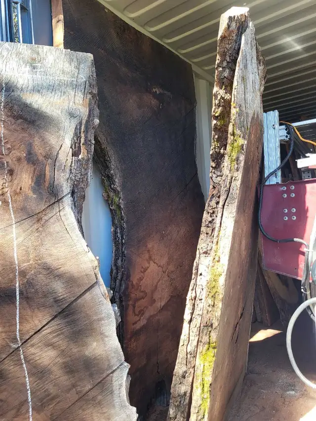 Various Live Edge Wooden Slabs in Other in Ottawa - Image 10