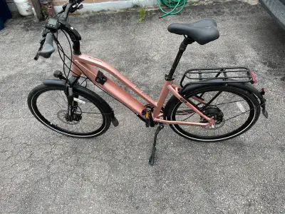 Amego infinite+ pink e-bike, View more