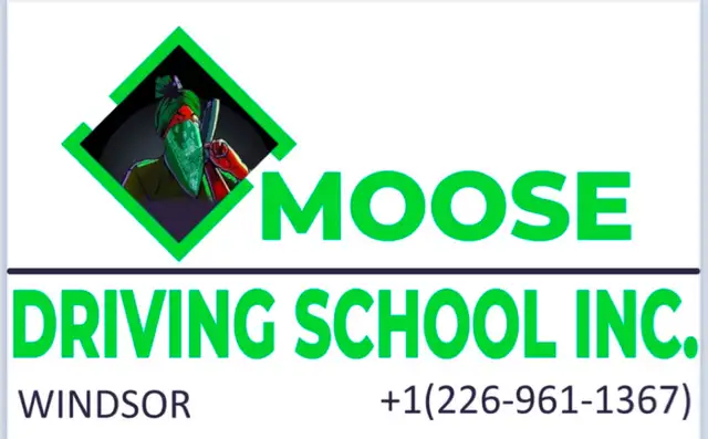 driving lesson/class/session