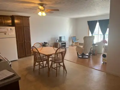 Grand 4 1/2, disponible le 1 octobre, endroit très tranquille, armoires de cuisine en bois, aire ouv...